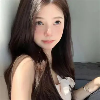 人类学入门